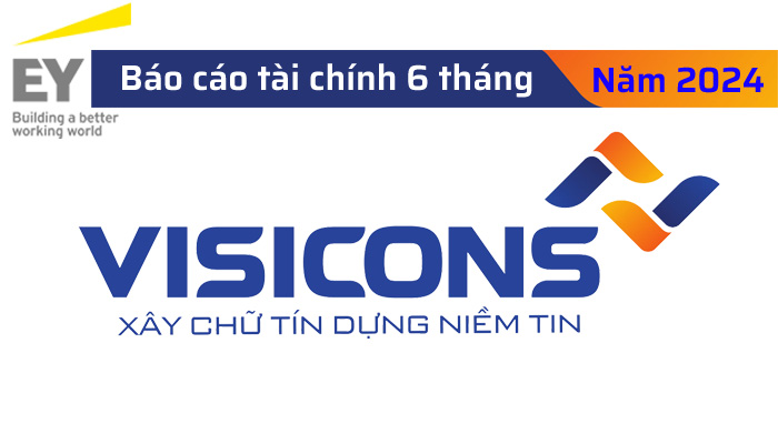 Báo cáo tài chính giữa niên độ đã được soát xét năm 2024