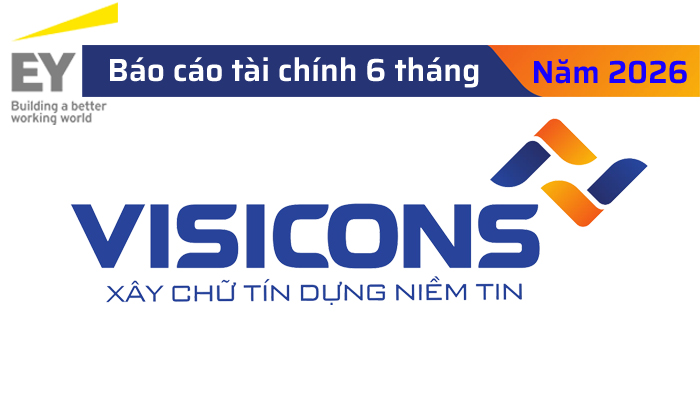 Báo cáo tài chính giữa niên độ đã được soát xét năm 2026