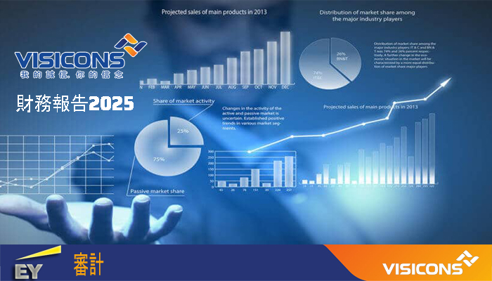 截至2025年12月31日止財政年度的經審計財務報表